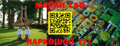 крисы Кингисепп