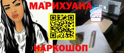 крисы Кингисепп