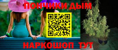 крисы Кингисепп