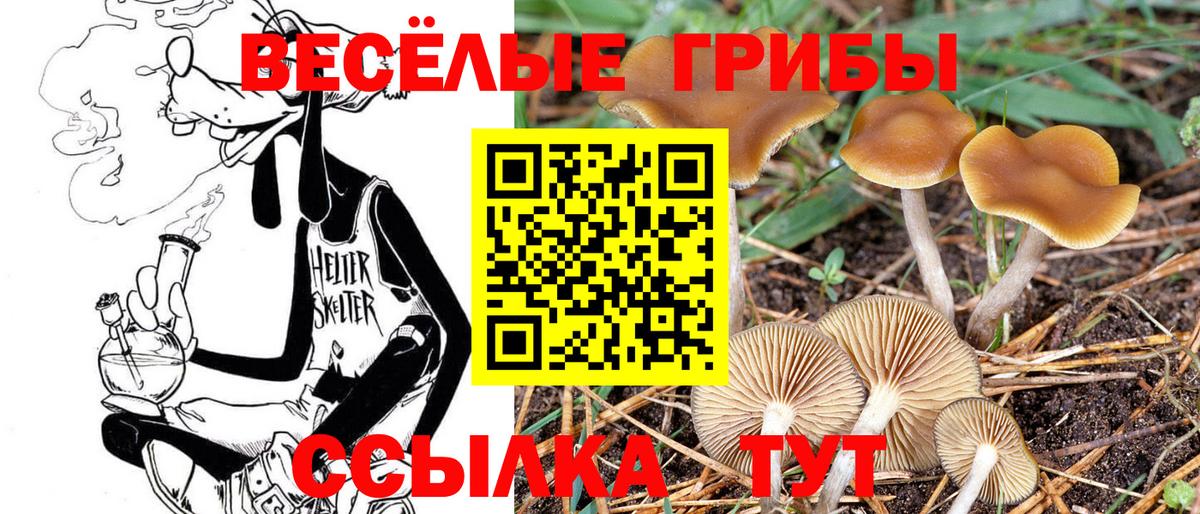 Псилоцибиновые грибы Cubensis  Псилоцибиновые грибы Cubensis  где купить наркоту  Киров  Вход с VPN 