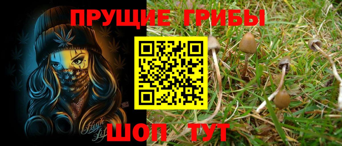Псилоцибиновые грибы GOLDEN TEACHER Киров